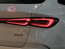 بي واي دي سيل 06 DM-i